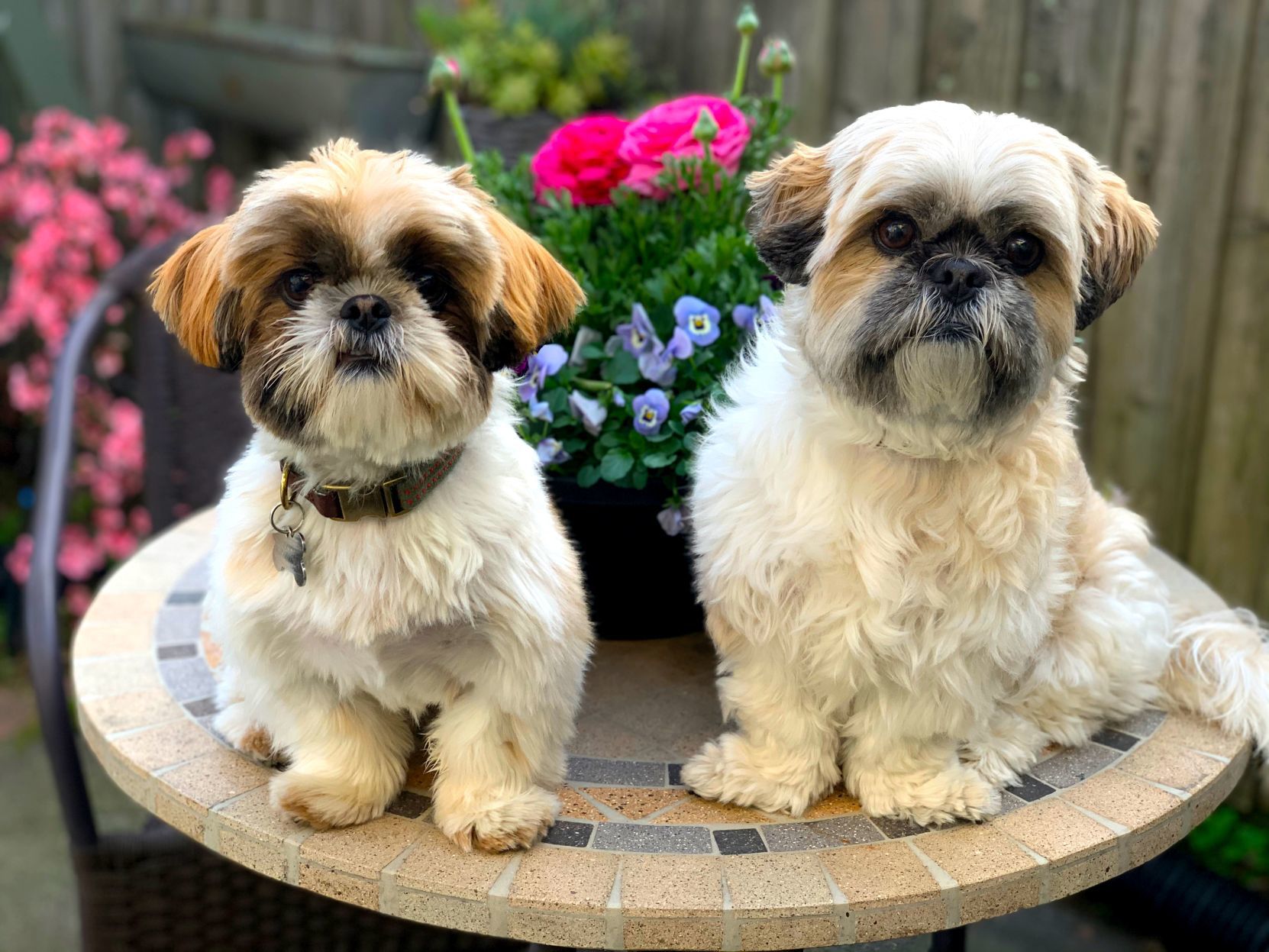 Wriggley & Minnie